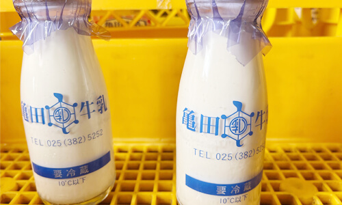 亀田牛乳様2